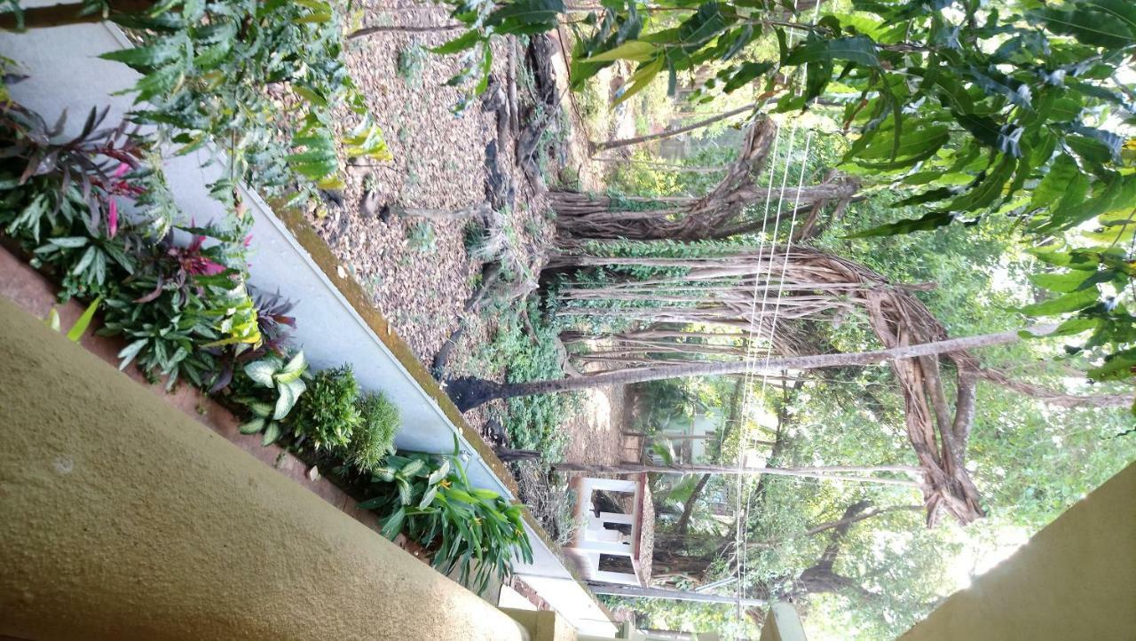 Flower Holiday Home In Landmark Dawn Calangute Exterior foto